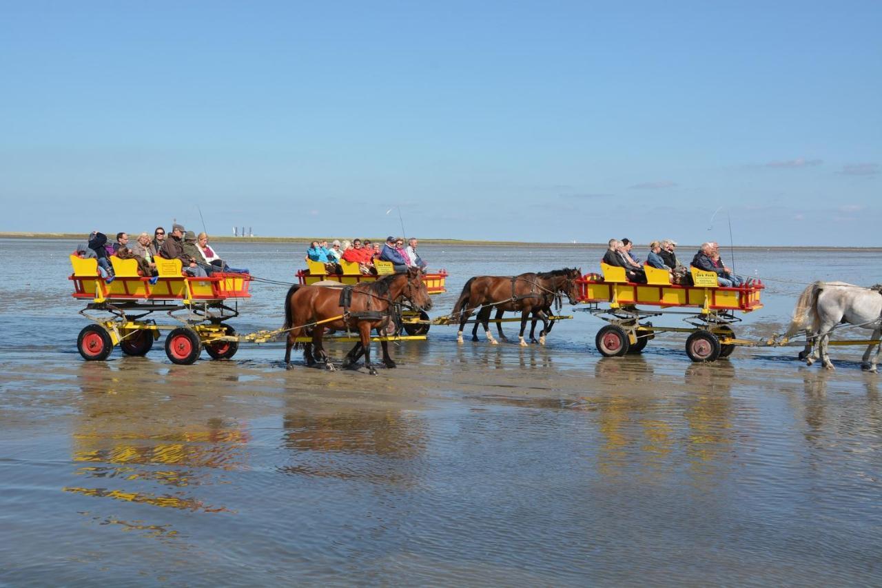 Luettje Huus Frieda Mit Strandkorb Am Strand Von Mai Bis September クックスハーフェン エクステリア 写真